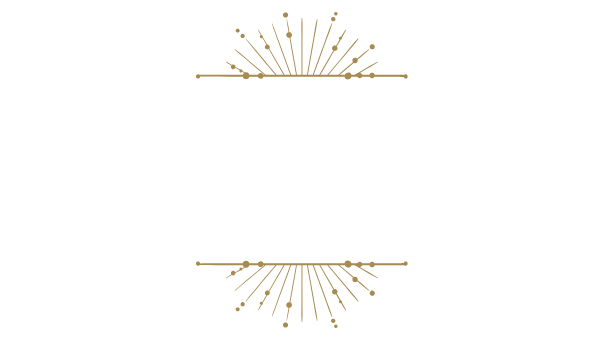 Romantasy Author Amy Ressa, cosmic romantasy, Inherit the Stars, inspired by Sailor Moon, book series, solar sovereign series